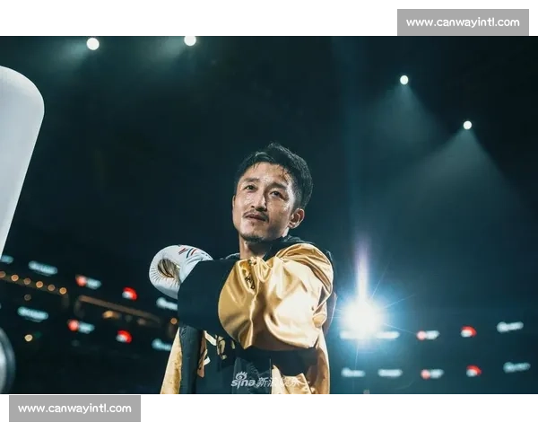 邹市明对决木村翔的荣耀之战拳坛风云再起全景回顾世界拳王赛背后的命运碰撞