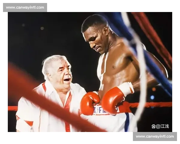 铁拳传奇对决世纪之战福尔曼挑战霍利菲尔德王座之夜重量级拳坛史诗