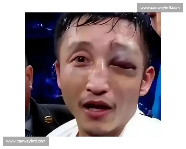 邹市明vs拳坛宿敌巅峰对决中国拳击荣耀之战再掀世界擂台风云