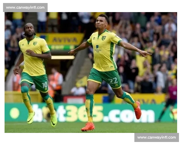 诺维奇主场迎战卡迪夫城冲击积分榜关键之战前瞻全力争胜赛季走势受关注