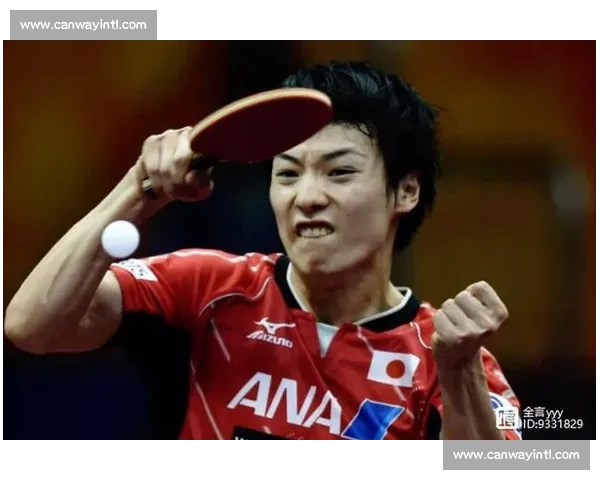 马琳对决松平健太回顾中日乒乓名将巅峰较量经典瞬间再战历史舞台