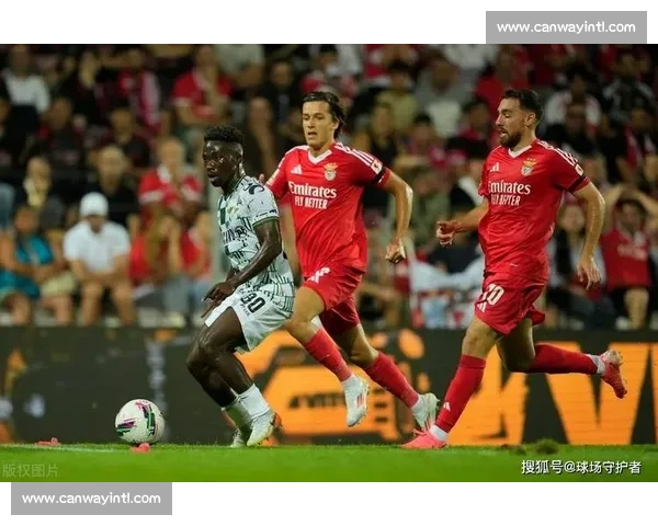 霍芬海姆对阵贝尔格莱德红星欧战焦点之夜前瞻解析看点与胜负走势分析